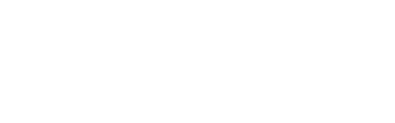 NIU-logo-lp