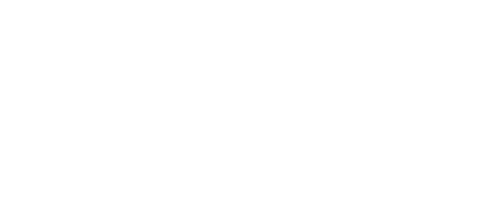 NIU Logo white